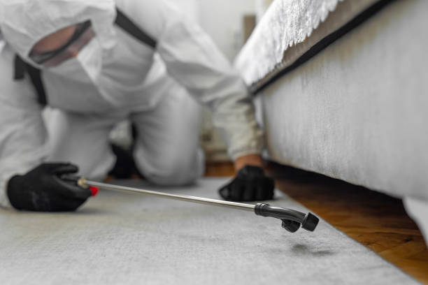 Professional Wasp Control technician working in Green Village, NJ